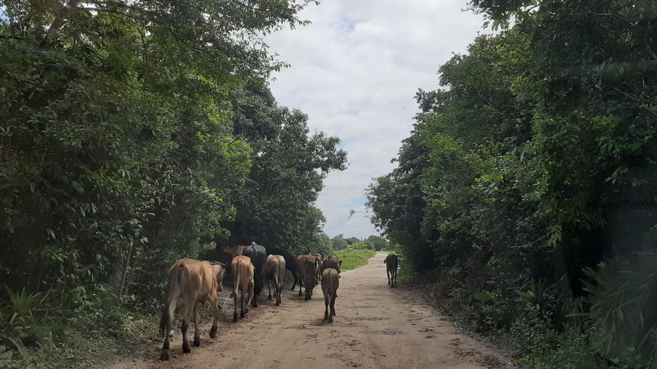 Chales Recanto Da Aldeia Itanhaém Exteriér fotografie