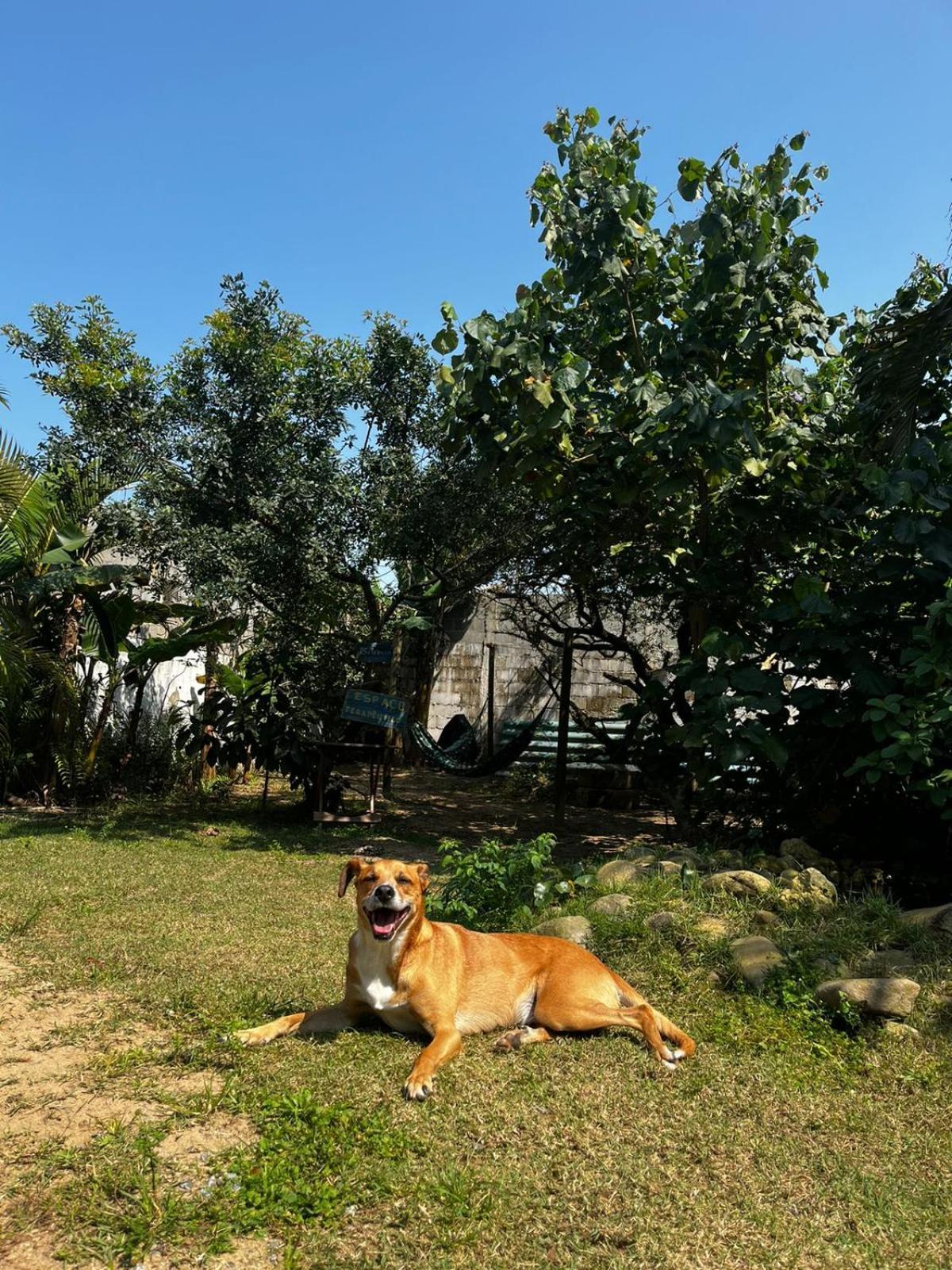 Chales Recanto Da Aldeia Itanhaém Exteriér fotografie